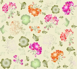 Seamless background. Illustration geranium.