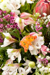 bouquet of colorful flowers