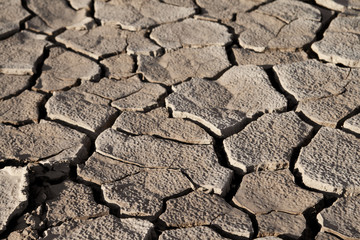 Cracked lifeless soil
