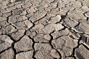 Cracked lifeless soil