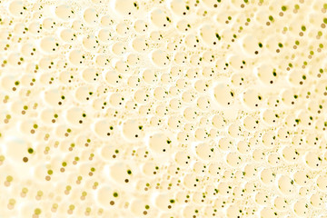 Beautiful drops of water