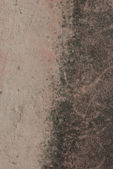 Trying to destroy plaster