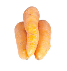 ripe carrot from the garden