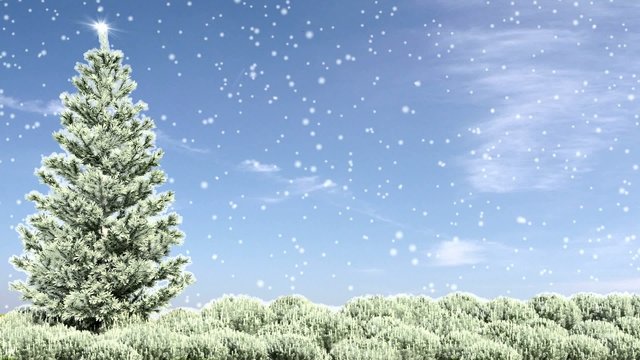 snow tree winter animation