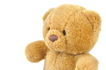 Teddy bear