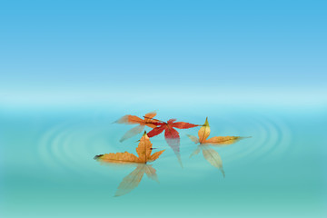 tourbillon feuille érable dans eau