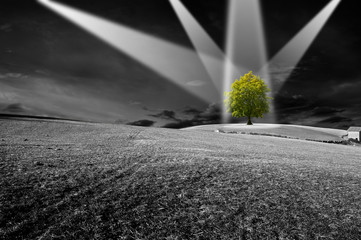 Environment © Alberto Masnovo