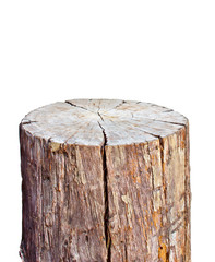 Naklejka premium old wood stump