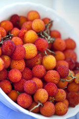 arbouse, fruit, arbousier, aliment, naturel, fruitier