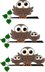 three different owl illustrations