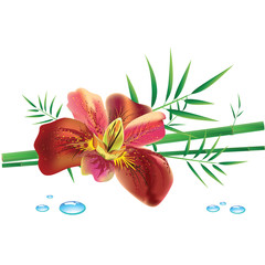 iris flower and bamboo