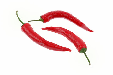 Chili peppers on white background