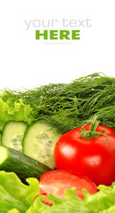 Fresh vegetable isolated on white background