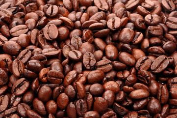 Coffee grain