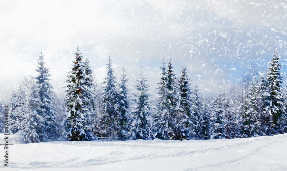 Sticker Beautiful winter landscape with snow covered trees