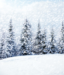 Beautiful winter landscape with snow covered trees