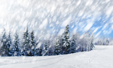 Beautiful winter landscape with snow covered trees