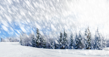 Beautiful winter landscape with snow covered trees