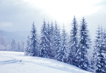 Beautiful winter landscape with snow covered trees