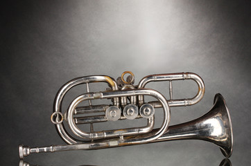 old trumpet on gray background