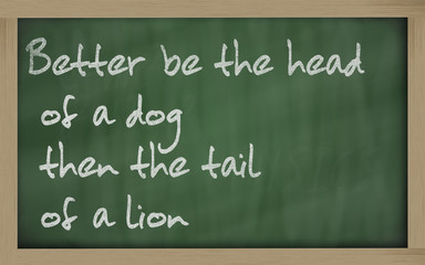 "  Better be the head of a dog then the tail of a lion " written