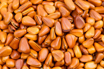 Pine nut