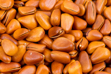 Pine nut