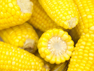 Tasty warm freshly boiled corn