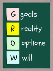 Goals Reality Options Will