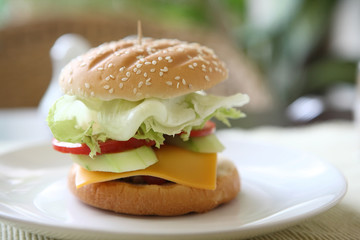 Beef Hamburger