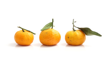 orange isolated in white background