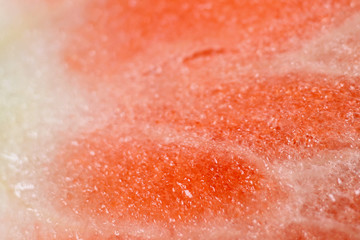 Fototapeta premium red strawberry macro