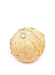 coconut fruit isolated on white background