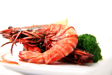 river prawn