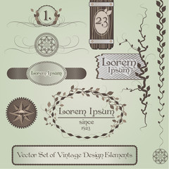Vector Set of Vintage Design Elements