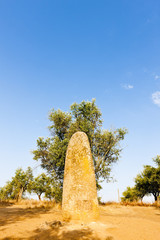 menhir in Almendres near Evora, Alentejo, Portugal