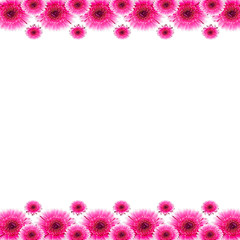 Cornice di fiori © DPI studio