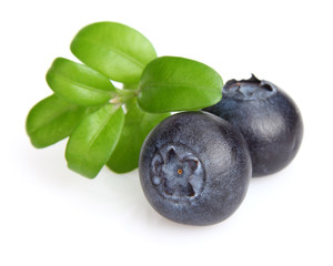 Berry of blueberry with leaves