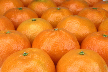 tangerines