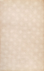 Sheet of the old photo album