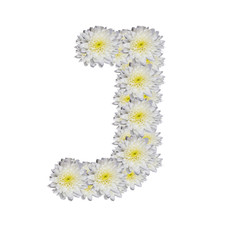 alphabet J , White Flower on white background