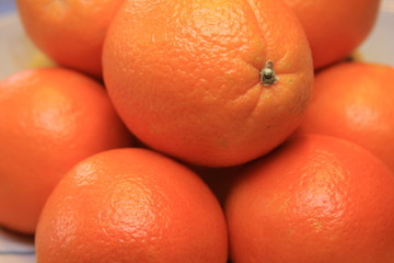 Obstschale mit Orangen