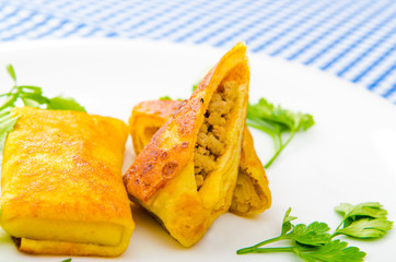 Patties with meat in the plate