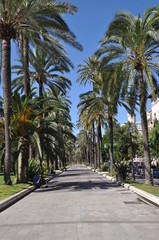 Fototapeta na wymiar Straße w Palmie na Majorce