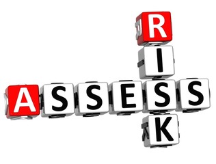 3D Assess Risk Crossword