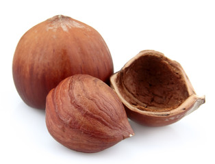 Filbert nuts close up