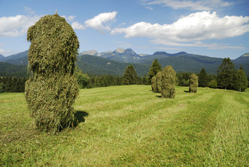 Haystacks