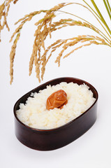 日の丸弁当と稲穂