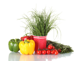 fresh green rosemary in red cup, paprika, tomatoes cherry