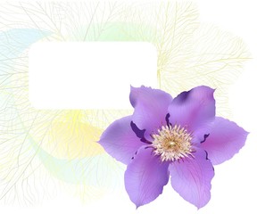 Postcard with clematis flower